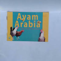 Image of Ayam Arabia : Primadona Baru Peternak Ayam